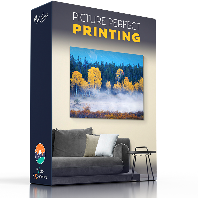 Picture Perfect Printing - Online Course
