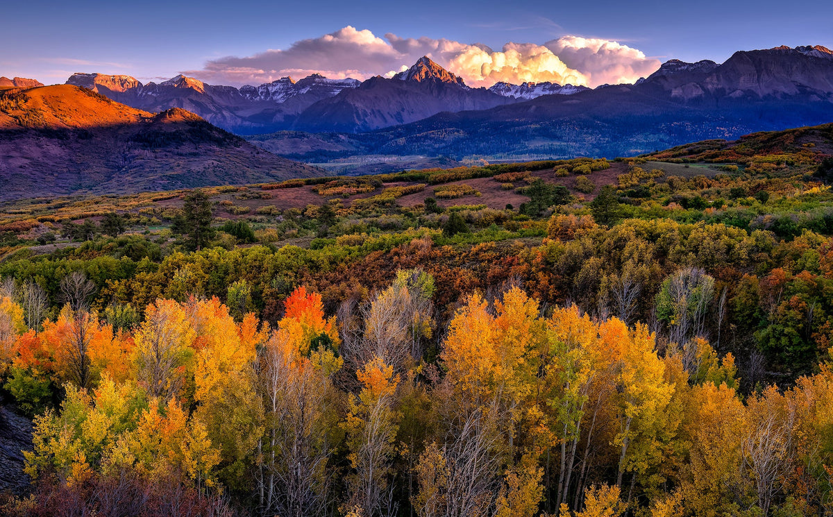 Sunset over fall foliage with snow-capped Mount Sneffels in the background, San Juan Mountains, Colorado