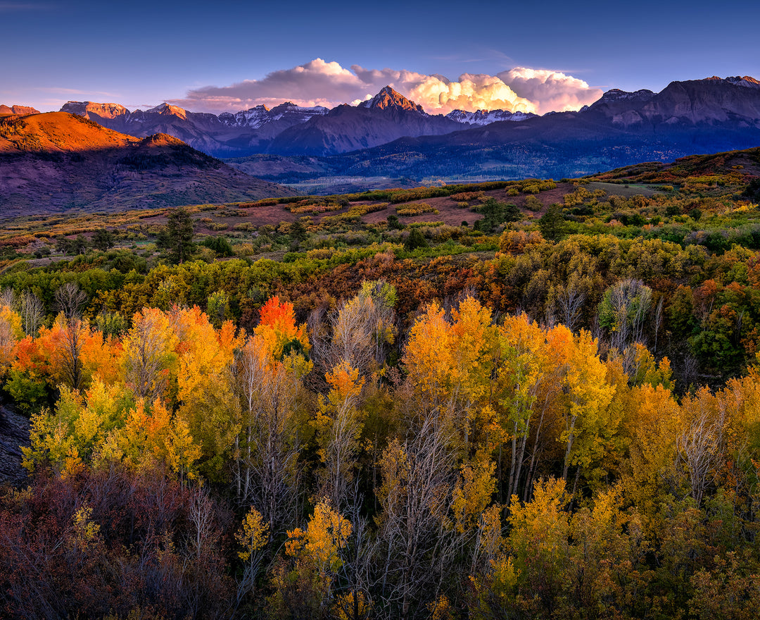 Sunset over fall foliage with snow-capped Mount Sneffels in the background, San Juan Mountains, Colorado