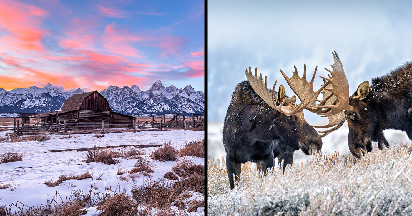 2025 Grand Teton Winter Landscape & Wildlife Photo Workshop