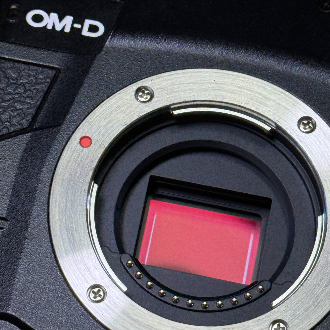 Olympus OM-D E-M1X Camera