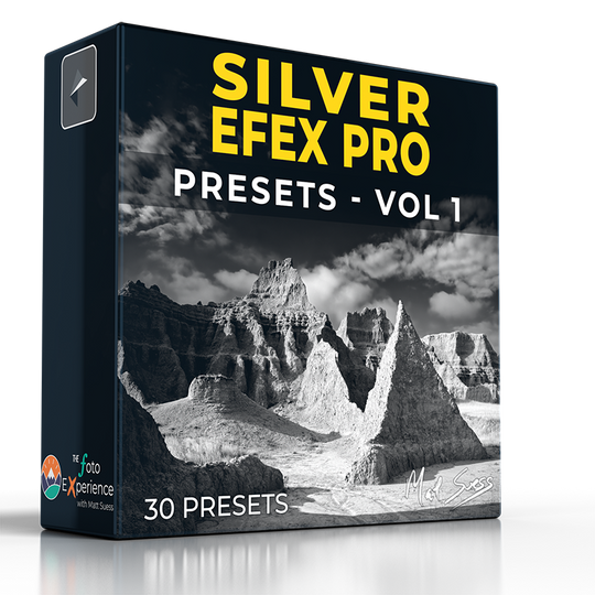 Silver Efex Pro Presets - Vol 1